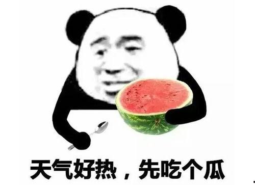 吃瓜表情啥意思