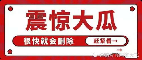 吃瓜八卦娱乐账号,吃瓜账号带你领略幕后风云