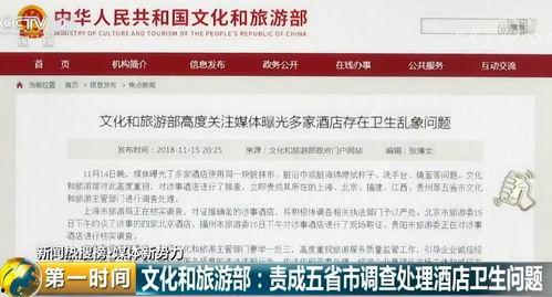 辽宁饭店爆料视频最新版,揭露惊人内幕，真相大白！