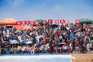 四川南溪爆料新闻,事件真相与影响揭秘