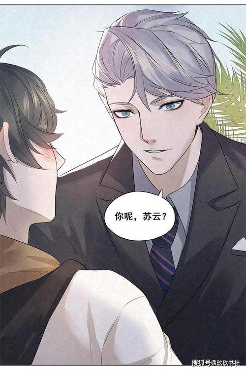 国民老公漫画剧情,霸道总裁的甜蜜复仇