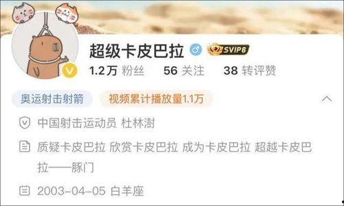 卡哥最新爆料新闻视频,最新爆料新闻视频深度解析