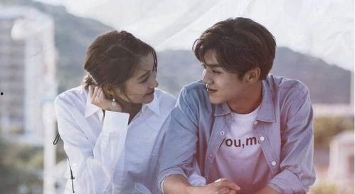 娱乐圈吃瓜网友小说